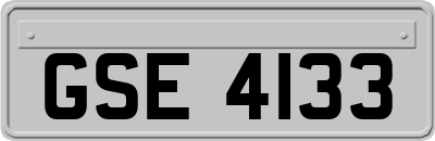 GSE4133