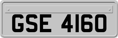 GSE4160