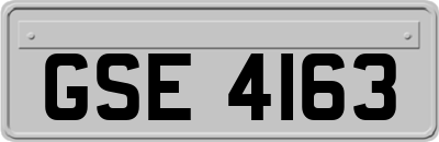 GSE4163