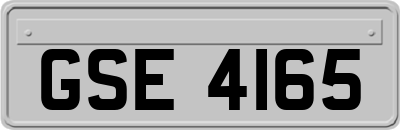 GSE4165