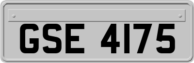 GSE4175