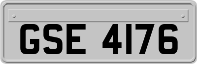 GSE4176