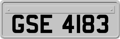 GSE4183
