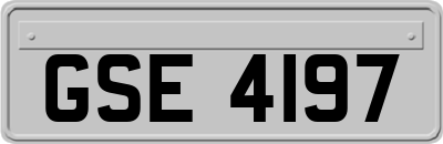 GSE4197
