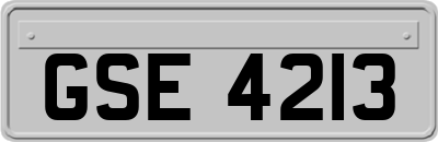 GSE4213