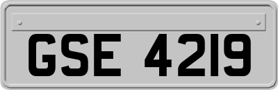 GSE4219