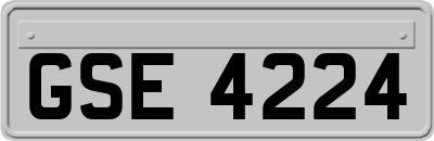 GSE4224
