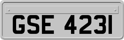 GSE4231