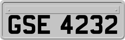 GSE4232