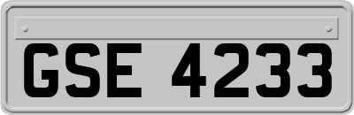 GSE4233