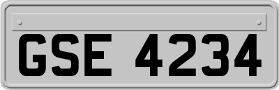 GSE4234