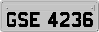 GSE4236