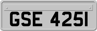 GSE4251