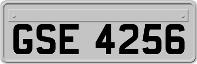 GSE4256