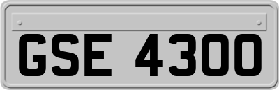 GSE4300