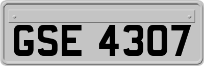 GSE4307