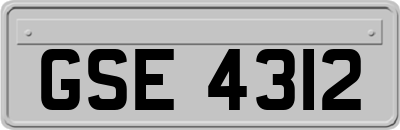 GSE4312