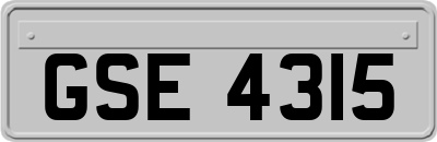 GSE4315
