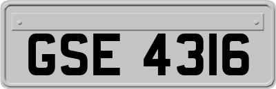 GSE4316
