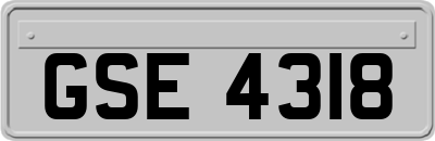 GSE4318