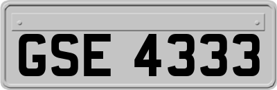 GSE4333