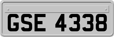 GSE4338