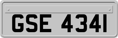 GSE4341