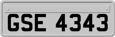GSE4343