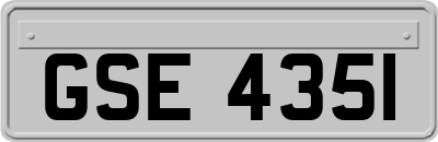 GSE4351
