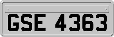 GSE4363