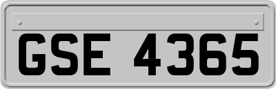 GSE4365