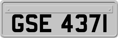 GSE4371