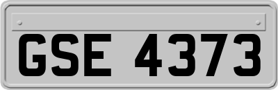 GSE4373