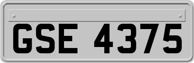 GSE4375
