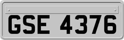 GSE4376
