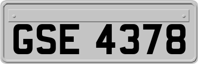 GSE4378