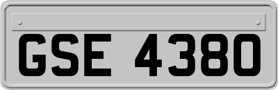 GSE4380