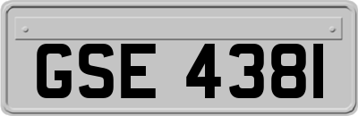 GSE4381