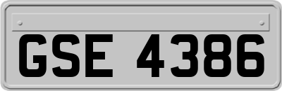GSE4386
