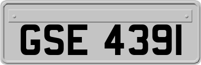 GSE4391