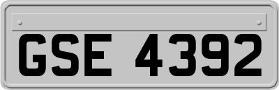 GSE4392