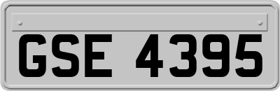 GSE4395