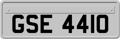 GSE4410