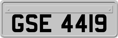 GSE4419