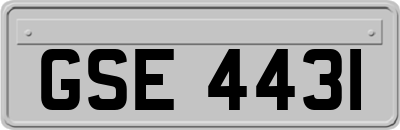 GSE4431