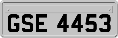 GSE4453