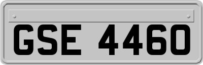 GSE4460