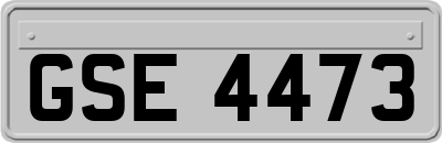 GSE4473