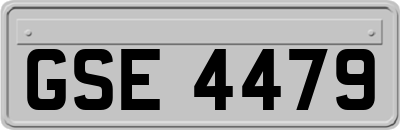 GSE4479