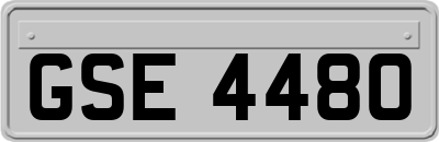 GSE4480